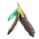 Maxbell Cat Birds Teaser Feather Frenzy Refill Replacement Head Toy Random Color