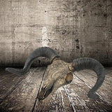 Maxbell Bull Skull Sculpture Resin Animal Head Carved Chic Wall Hanging for Office Black