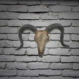 Maxbell Bull Skull Sculpture Resin Animal Head Carved Chic Wall Hanging for Office Black