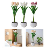 Maxbell Creative Tulips Artificial Flowers with LED Light for Anniversary Ornament White