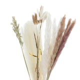 Maxbell 30x Dried Pampas Grass Bunch Bouquet Flowers Arrangement Reed Flower Style D