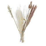 Maxbell 30x Dried Pampas Grass Bunch Bouquet Flowers Arrangement Reed Flower Style D