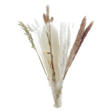 Maxbell 30x Dried Pampas Grass Bunch Bouquet Flowers Arrangement Reed Flower Style D