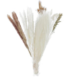 Maxbell 30x Dried Pampas Grass Bunch Bouquet Flowers Arrangement Reed Flower Style D