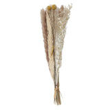 Maxbell 30x Dried Pampas Grass Bunch Bouquet Flowers Arrangement Reed Flower Style I