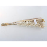 Maxbell 30x Dried Pampas Grass Bunch Bouquet Flowers Arrangement Reed Flower Style I