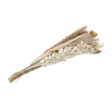 Maxbell 30x Dried Pampas Grass Bunch Bouquet Flowers Arrangement Reed Flower Style I