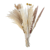 Maxbell 30x Dried Pampas Grass Bunch Bouquet Flowers Arrangement Reed Flower Style I