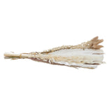 Maxbell 30x Dried Pampas Grass Bunch Bouquet Flowers Arrangement Reed Flower Style I