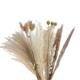 Maxbell 30x Dried Pampas Grass Bunch Bouquet Flowers Arrangement Reed Flower Style I