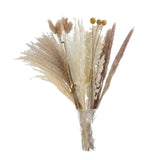 Maxbell 30x Dried Pampas Grass Bunch Bouquet Flowers Arrangement Reed Flower Style I
