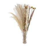 Maxbell 30x Dried Pampas Grass Bunch Bouquet Flowers Arrangement Reed Flower Style I