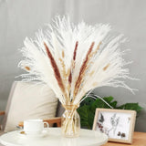 Maxbell 30x Dried Pampas Grass Bunch Bouquet Flowers Arrangement Reed Flower Style I