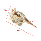 Maxbell Dried Palm Leaves Pampas Grass Bundle Palm Spears Branches for Wedding Set A