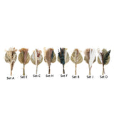 Maxbell Dried Palm Leaves Pampas Grass Bundle Palm Spears Branches for Wedding Set A