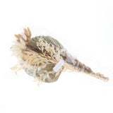 Maxbell Dried Palm Leaves Pampas Grass Bundle Palm Spears Branches for Wedding Set A