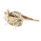 Maxbell Dried Palm Leaves Pampas Grass Bundle Palm Spears Branches for Wedding Set A