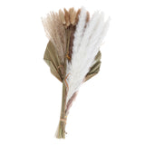Maxbell Dried Palm Leaves Pampas Grass Bundle Palm Spears Branches for Wedding Set J
