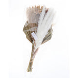 Maxbell Dried Palm Leaves Pampas Grass Bundle Palm Spears Branches for Wedding Set J