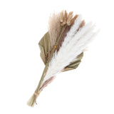 Maxbell Dried Palm Leaves Pampas Grass Bundle Palm Spears Branches for Wedding Set J