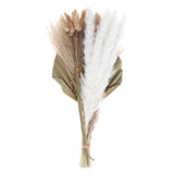 Maxbell Dried Palm Leaves Pampas Grass Bundle Palm Spears Branches for Wedding Set J