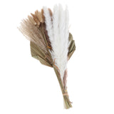 Maxbell Dried Palm Leaves Pampas Grass Bundle Palm Spears Branches for Wedding Set J