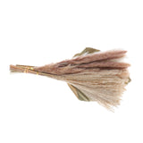 Maxbell Dried Palm Leaves Pampas Grass Bundle Palm Spears Branches for Wedding Set J
