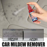 Maxbell Car Stain Remover Spray Effective Easy to Use for Seat Belt Carpet