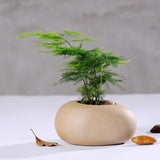 Maxbell Ceramic Flower Vase Container Statue Potted Flower Pot Bedroom Decors 14cmx11cmx7.5cm