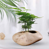 Maxbell Ceramic Flower Vase Container Statue Potted Flower Pot Bedroom Decors 16cmx12.5cmx7.5cm