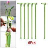 Maxbell 6 Pieces 30cm Plant Support Stakes Plant Fixed for Balcony Indoor Flowers