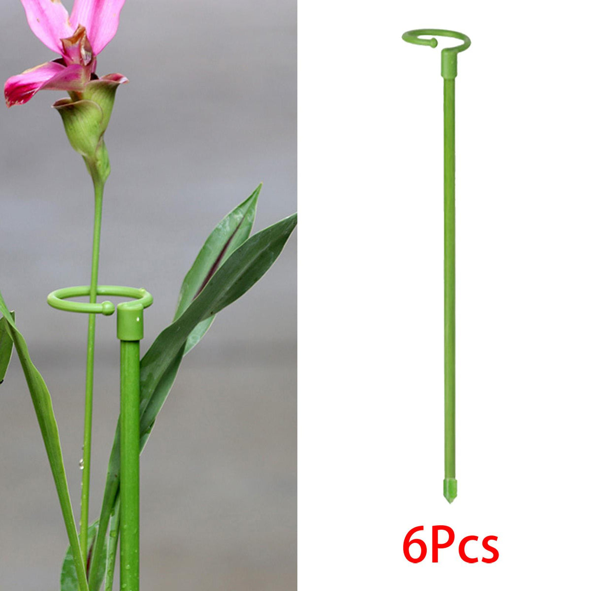Maxbell 6 Pieces 30cm Plant Support Stakes Plant Fixed for Balcony Indoor Flowers