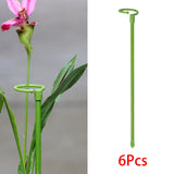 Maxbell 6 Pieces 30cm Plant Support Stakes Plant Fixed for Balcony Indoor Flowers