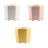 Maxbell Planter Pots Decorative with Drainage Hole for Living Room Nursery White