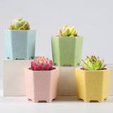 Maxbell Planter Pots Decorative with Drainage Hole for Living Room Nursery White