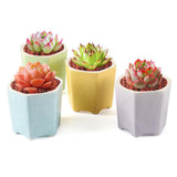 Maxbell Planter Pots Decorative with Drainage Hole for Living Room Nursery White