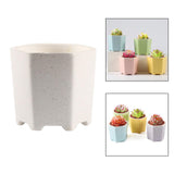 Maxbell Planter Pots Decorative with Drainage Hole for Living Room Nursery White