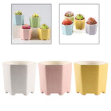 Maxbell Planter Pots Decorative with Drainage Hole for Living Room Nursery White