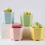 Maxbell Planter Pots Decorative with Drainage Hole for Living Room Nursery Yellow