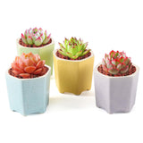 Maxbell Planter Pots Decorative with Drainage Hole for Living Room Nursery Yellow