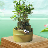 Maxbell Multifunctional Bonsai Planter Flower Container for Office Table Decor Panda