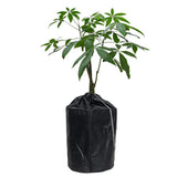 Maxbell Frost Protection Cover Frost Garden Protector for Potted Flowers