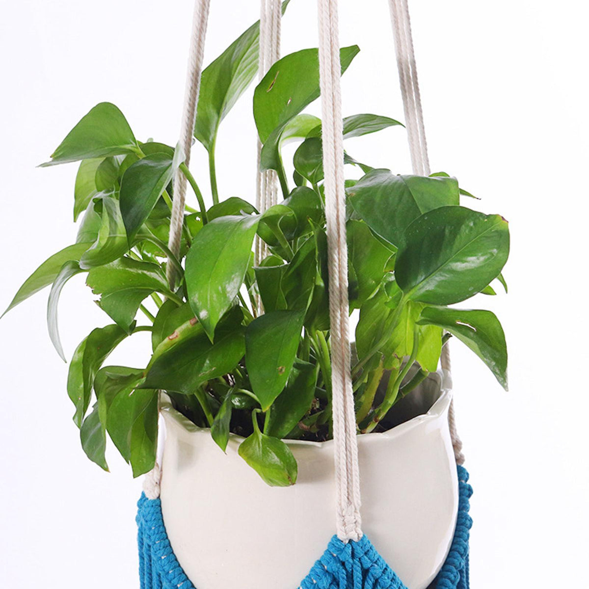 Maxbell Plant Hanger Hanging Flower Pot Basket Net Bag for Home Garden Decoration