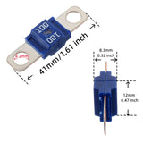 Maxbell Multipurpose Car Fuse Holder Circuit Protection Dampproof for Trucks 2x Holder 100A Fuses