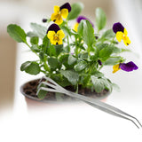 Maxbell Mini Gardening Rake Portable Min Hand Rake Reusable for Backyard Home Garden