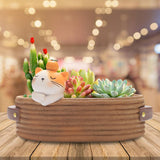 Maxbell Cartoon Fleshy Flowerpot Creative Ornaments Desktop Decor for Indoor Office Cat