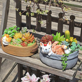 Maxbell Cartoon Fleshy Flowerpot Creative Ornaments Desktop Decor for Indoor Office Cat