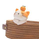 Maxbell Cartoon Fleshy Flowerpot Creative Ornaments Desktop Decor for Indoor Office Cat