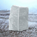 Maxbell Plant Freeze Protection Covers with Zipper Breathable 200cmx240cm