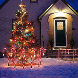 Maxbell Candy Cane Lights Decor Crutches Waterproof Christmas LED Lamp for Lawn 10 Lights